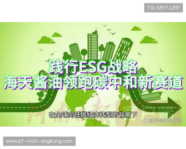 体育赛事的可持续性：绿色场馆与低碳运营，体育赛事可持续发展策略建议