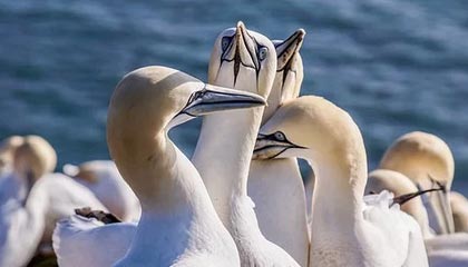 星空娱乐登录-C罗在训练中完成倒钩技惊四座，c罗倒钩什么水平