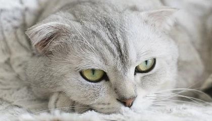 星空娱乐登录-C罗在训练中完成倒钩技惊四座，c罗倒钩什么水平